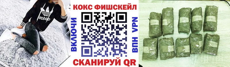 COCAIN Боливия Устюжна