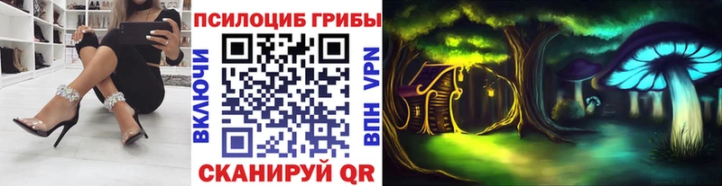 где можно купить   Устюжна  Псилоцибиновые грибы MAGIC MUSHROOMS 