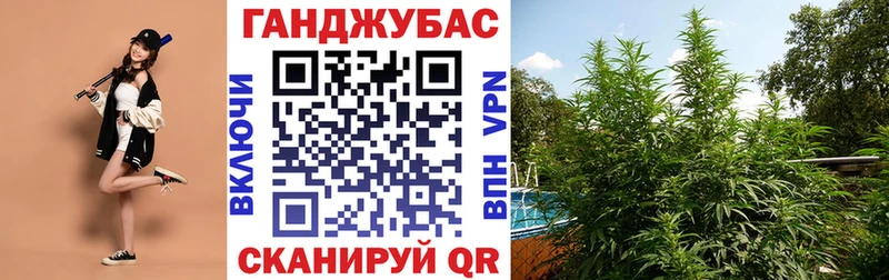 Марихуана конопля  Устюжна 